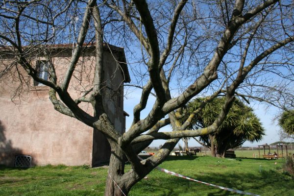 restauro-vignacce-appia-antica2