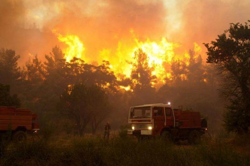 Sistema di supporto alle emergenze da incendio boschivo