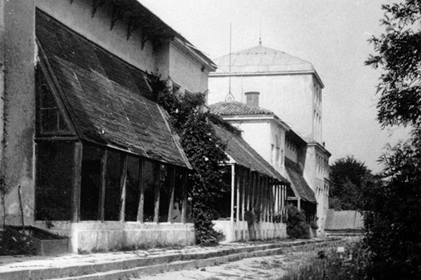 orto-botanico-padova-interna_01