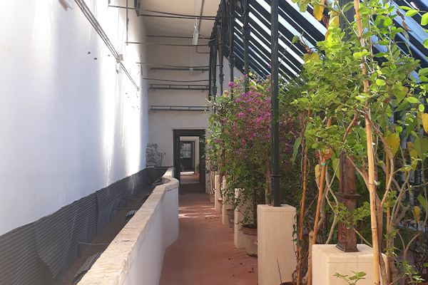 orto-botanico-padova-interna_02