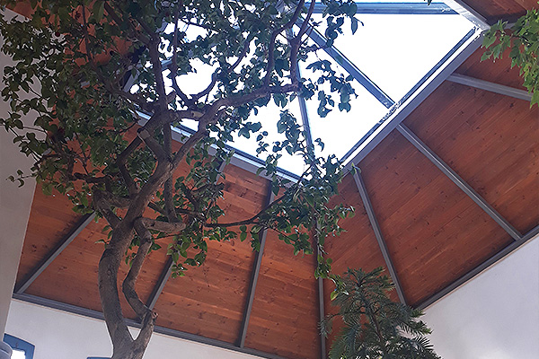 orto-botanico-padova-interna_05