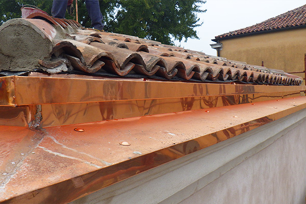 orto-botanico-padova-interna_07